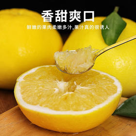 【严选】当季新鲜柚子纯甜爆汁葡萄柚含箱9.5斤/箱