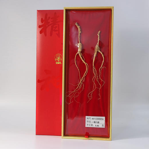 （千元首选）神象等级参 一等六级5克 野山参 商品图2