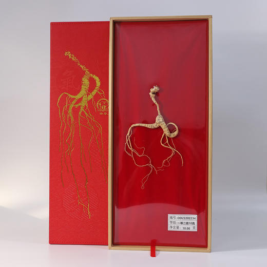 神象等级参 一等二级10克 野山参 商品图0