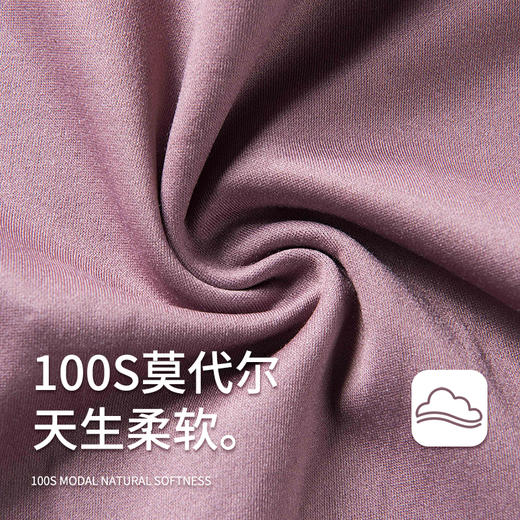 高端100S双面兰精莫代尔女士内裤三条装S360 商品图3