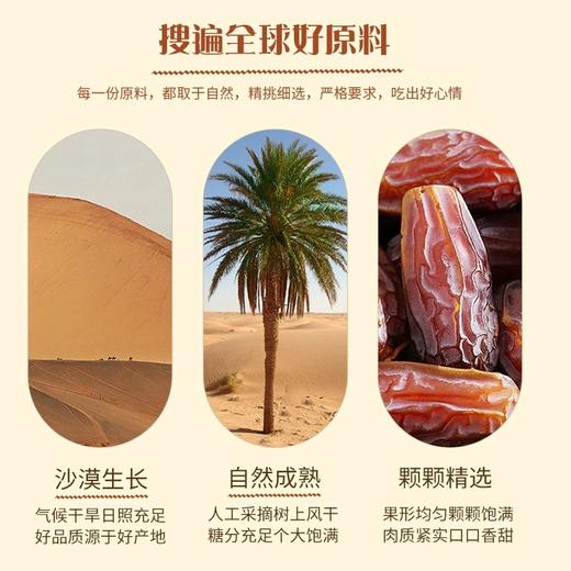 阿联酋进口皇冠椰枣特级大颗粒免洗大黑枣中东进口蜜枣1000g/盒 商品图5
