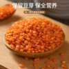 【中欧班列精选】土耳其进口意得绿扁豆/红扁豆1KG/袋 QB 商品缩略图9