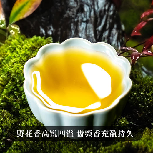 【双12年终好物】【班章石斛】古寨春自主研发产品云南普洱茶云南铁皮石斛的邂逅 357g/饼 5饼/提 20饼/件 商品图2