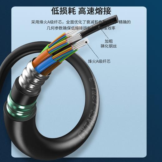 主推国标【GYTA53双铠/重铠】地埋双铠双护套单模GYTS53铠装光缆 层绞式直埋重铠地埋铠装单模光纤线电信级架空/管道/防鼠咬4/6/8/24/48/72/96/144【足芯足米、国标品质】 商品图3