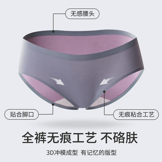 高端100S双面兰精莫代尔女士内裤三条装S360 商品图2