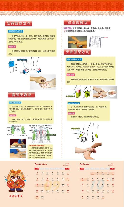 原始点2024人体图挂历海报/原版手册书 商品图3