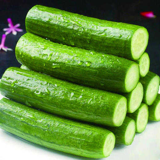 【健康营养丰富！新鲜水果黄瓜】脆嫩爽口现摘现发5斤/1斤 生吃应季蔬菜 青黄瓜生吃蔬菜小黄瓜 商品图1