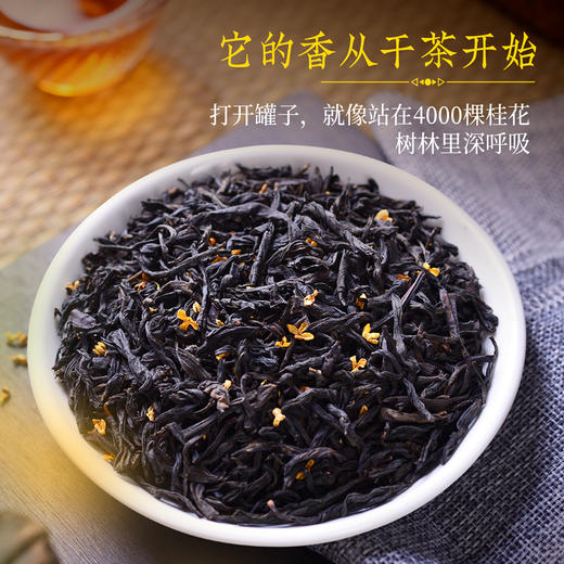 桂花红茶正山小种50克 商品图1