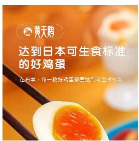【田亮推荐获得世界食品品质品鉴会大奖和国际美味奖章】富含营养可做婴幼儿辅食日本PPQC标准黄天鹅鸡蛋可生食无菌新鲜溏心温泉蛋不含沙门氏菌40枚鸡蛋包邮 商品图1