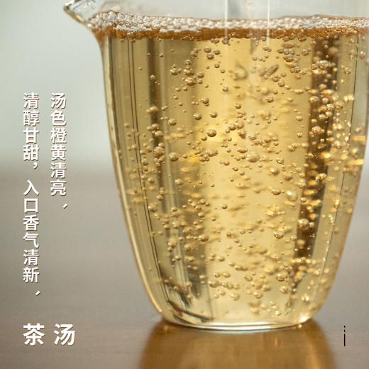 福鼎白茶白牡丹2018年五年陈老白茶白牡丹300克饼 商品图2