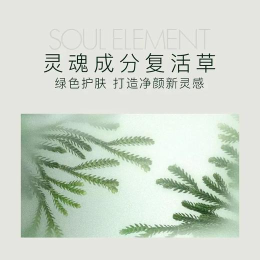 [卸妆湿巾]【59.9元任选40片丨低至1.49元/片】ZEESEA滋色净澈舒颜卸妆湿巾单片*5片 商品图4