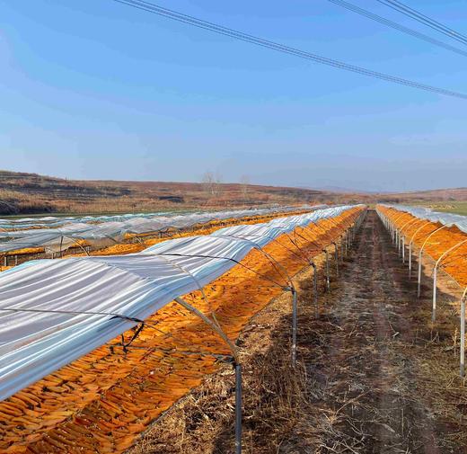 【传统手工地瓜干】0添加糖，0添加防腐剂，0添加调色机，软硬适中、香甜可口、还是那口小时候的味道 商品图1