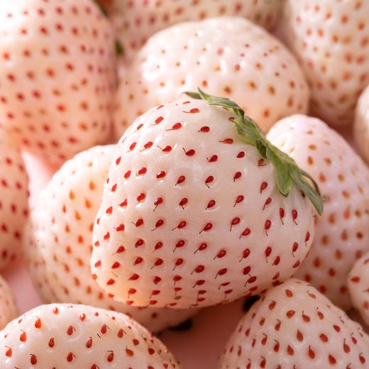 淡雪草莓（一盒11个） 商品图1