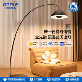 OPPLE欧普照明爱宝钓鱼灯装饰落地灯