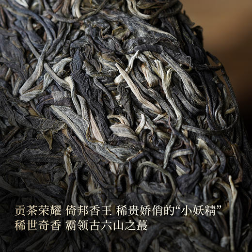 【新品发售】【猫耳朵单株】2023年头春头采茶中精灵“猫耳朵”云南仅有0.01％的茶种 全球限量180饼 拍5发6赠相框礼盒1个 商品图5