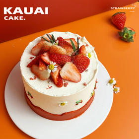 红色山脉·草莓冰淇淋蛋糕 | 烤爱