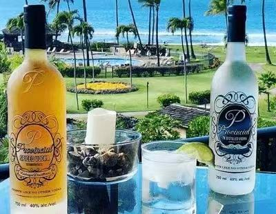 加拿大冰川伏特加750ml 商品图6