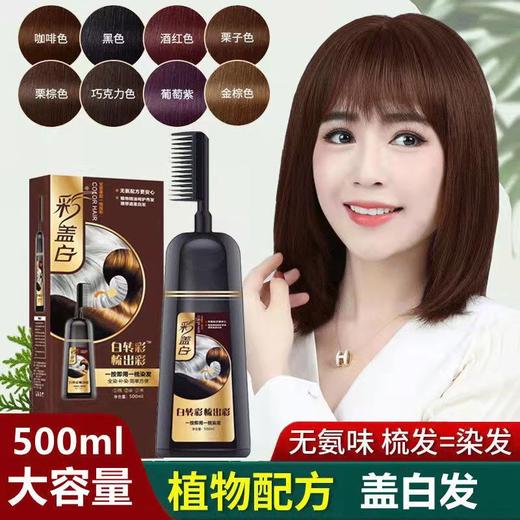 泡泡染发剂【自己在家染头发膏梳子】天然植物 盖白发流行色 显白 商品图1