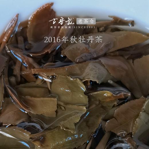2016年秋牡丹茶 方守龙老茶仓 七年宝福鼎老白茶 藏茶密室宝之 商品图3