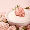 淡雪草莓（一盒11个） 商品缩略图0