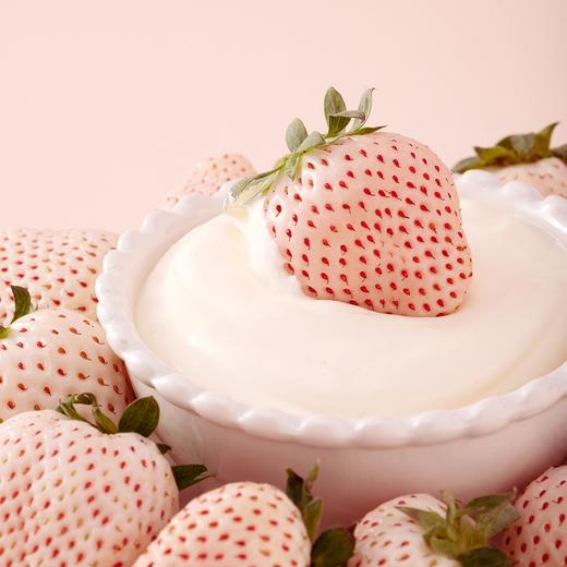 淡雪草莓（一盒11个） 商品图0