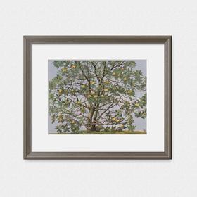 祝大年综合版画《山玉兰》