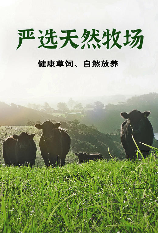 潮汕牛肉丸 500g 商品图3