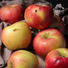 有机沙漠苹果瑕疵果（不售后，黑心果除外）| 合作生产 * Organic Desert Apple Defective Fruit | Coproduction 商品缩略图0