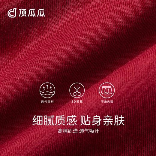 3部顶瓜瓜男士红品中腰明筋内裤3条装DNKMD-APT31187-3 商品图3
