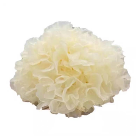 鲜银耳约500g/份