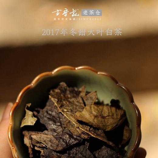 2017年冬甜大叶白茶 方守龙老茶仓 福鼎白茶标杆之作 藏茶密室宝之 商品图2