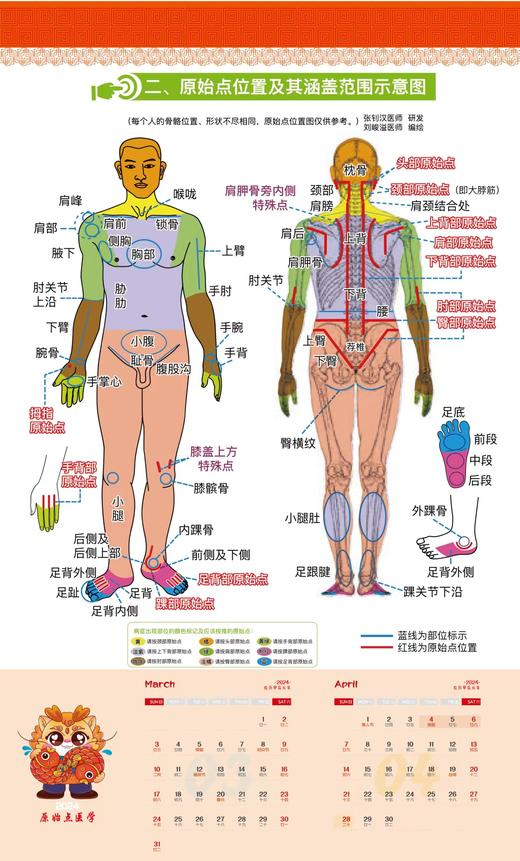 原始点2024人体图挂历海报/原版手册书 商品图6