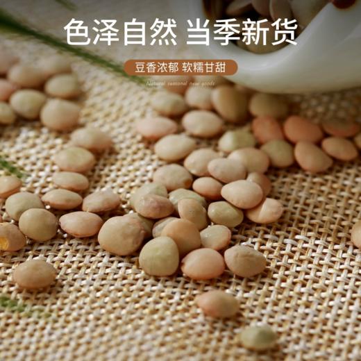 【中欧班列精选】土耳其进口意得绿扁豆/红扁豆1KG/袋 QB 商品图3