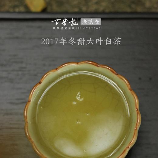 2017年冬甜大叶白茶 方守龙老茶仓 福鼎白茶标杆之作 藏茶密室宝之 商品图3