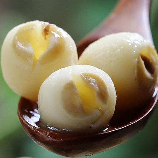 江西手工特产干货，桂圆肉&白莲   通芯白莲子无核龙眼干货 商品图2