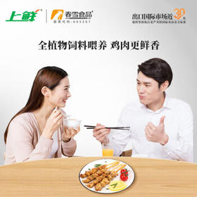 上鲜 掌中宝串 480g 冷冻 烧烤串 鸡软骨串膝软骨半成品 春节也送货