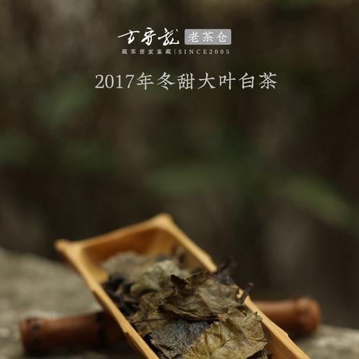 2017年冬甜大叶白茶 方守龙老茶仓 福鼎白茶标杆之作 藏茶密室宝之 商品图1