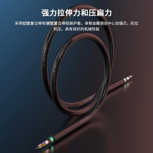 主推国标【GYTA53双铠/重铠】地埋双铠双护套单模GYTS53铠装光缆 层绞式直埋重铠地埋铠装单模光纤线电信级架空/管道/防鼠咬4/6/8/24/48/72/96/144【足芯足米、国标品质】 商品图5