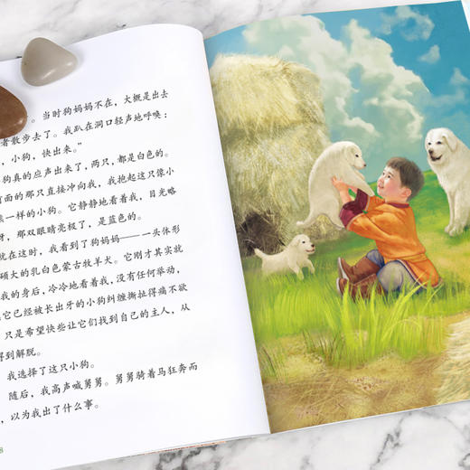 我童年的牧羊犬   3年级正版现货速发|名师推荐|小学生课外阅读三年级 商品图2