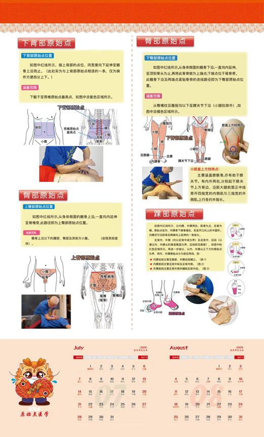 原始点2024人体图挂历海报/原版手册书 商品图4