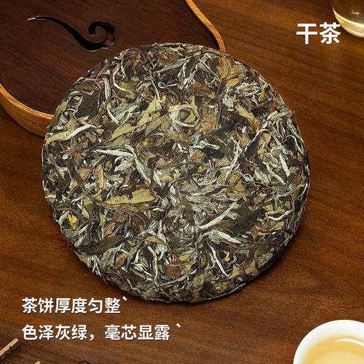 福鼎白茶白牡丹2018年五年陈老白茶白牡丹300克饼 商品图1