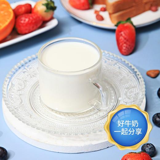 (百万补贴) 小西牛原生纯牛奶180g 商品图1