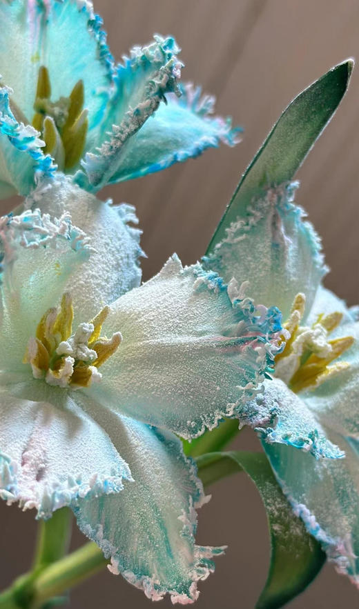 【细雪/粗雪】圣诞喷雪280ml 商品图7