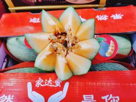 大圣晓蜜瓜一箱