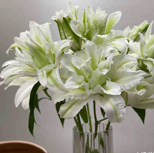 【AB级滑雪板重瓣百合】多头2支约7-9朵/份 商品图3