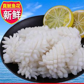 2.5㎏联海免切鱿鱼花【1B1上/2C7下-12】