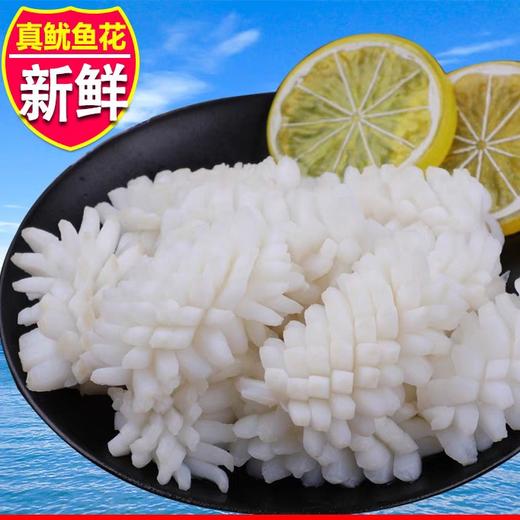 2.5㎏联海免切鱿鱼花【1B1上/2C7下-12】 商品图0