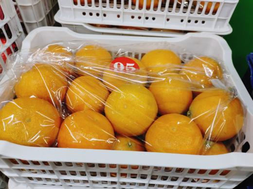 红美人果冻橙一箱（补单） 商品图0