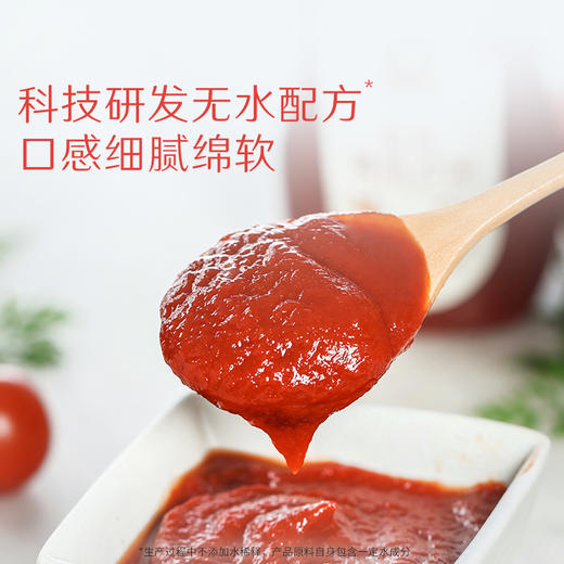 有机番茄沙司/番茄酱 商品图3