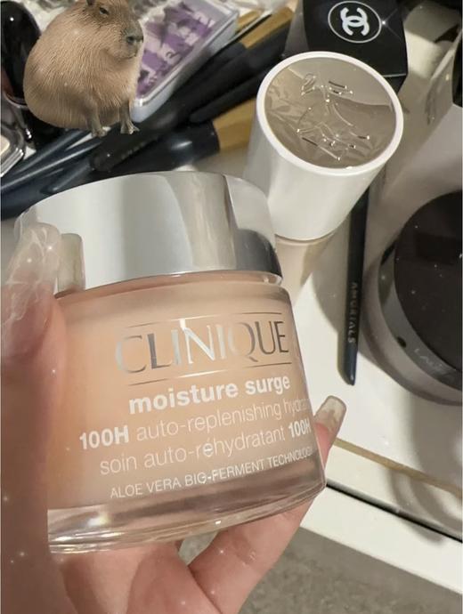 倩碧水磁场轻盈凝霜/高保湿柔润乳霜 修护舒缓50ml 商品图3